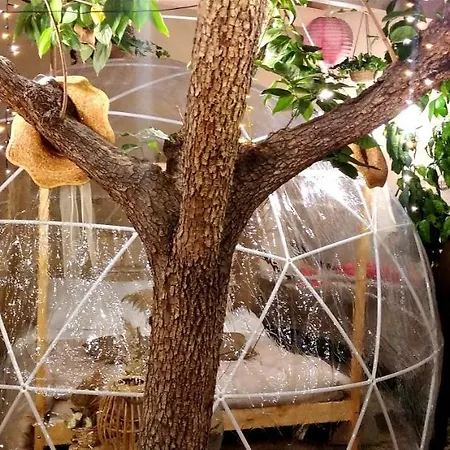 Holiday home Bubble