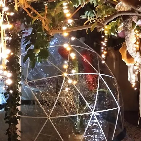 Bubble Tatil Evi