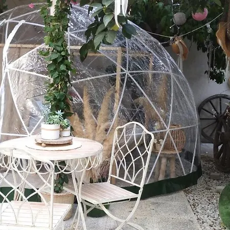Bubble Trani
